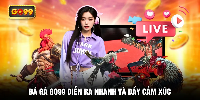 Đá gà GO99 diễn ra nhanh và đầy cảm xúc
