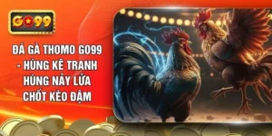 da-ga-thomo-go99-hung-ke-tranh-hung-nay-lua-chot-keo-dam