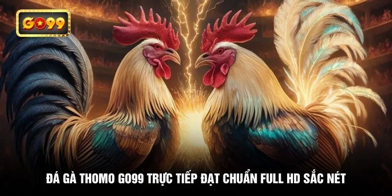 Đá gà Thomo GO99 trực tiếp đạt chuẩn Full HD sắc nét