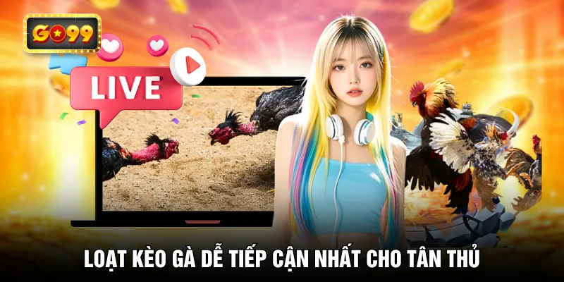 Loạt kèo gà dễ tiếp cận nhất cho tân thủ