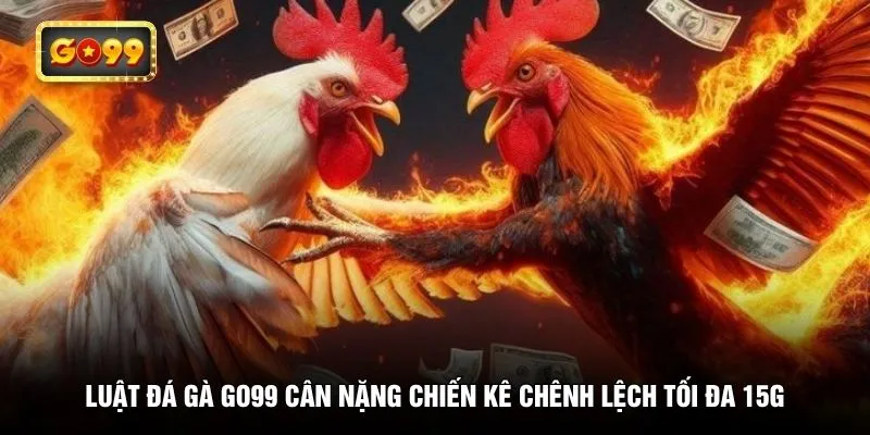 Luật đá gà GO99 cân nặng chiến kê chênh lệch tối đa 15g