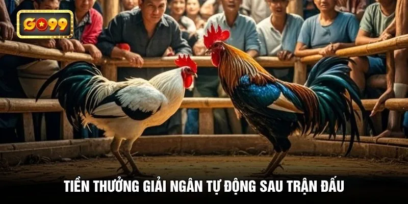 Tiền thưởng giải ngân tự động sau trận đấu